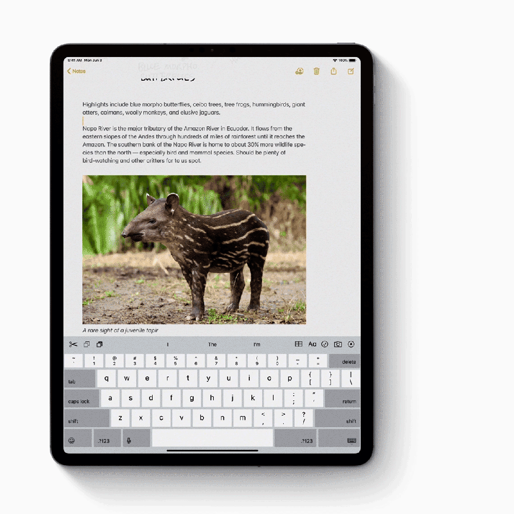 Apple_iPadOS_Paste-Feature_060319_inline_small_2x