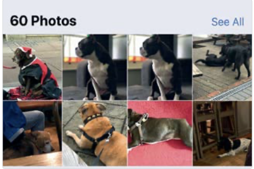 MacOS: Organizzare e trovare le foto_1