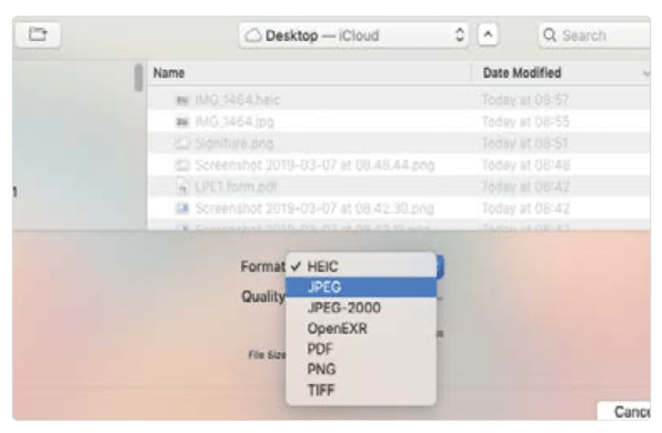 anteprima_macos_ceotech_doctorapple_3